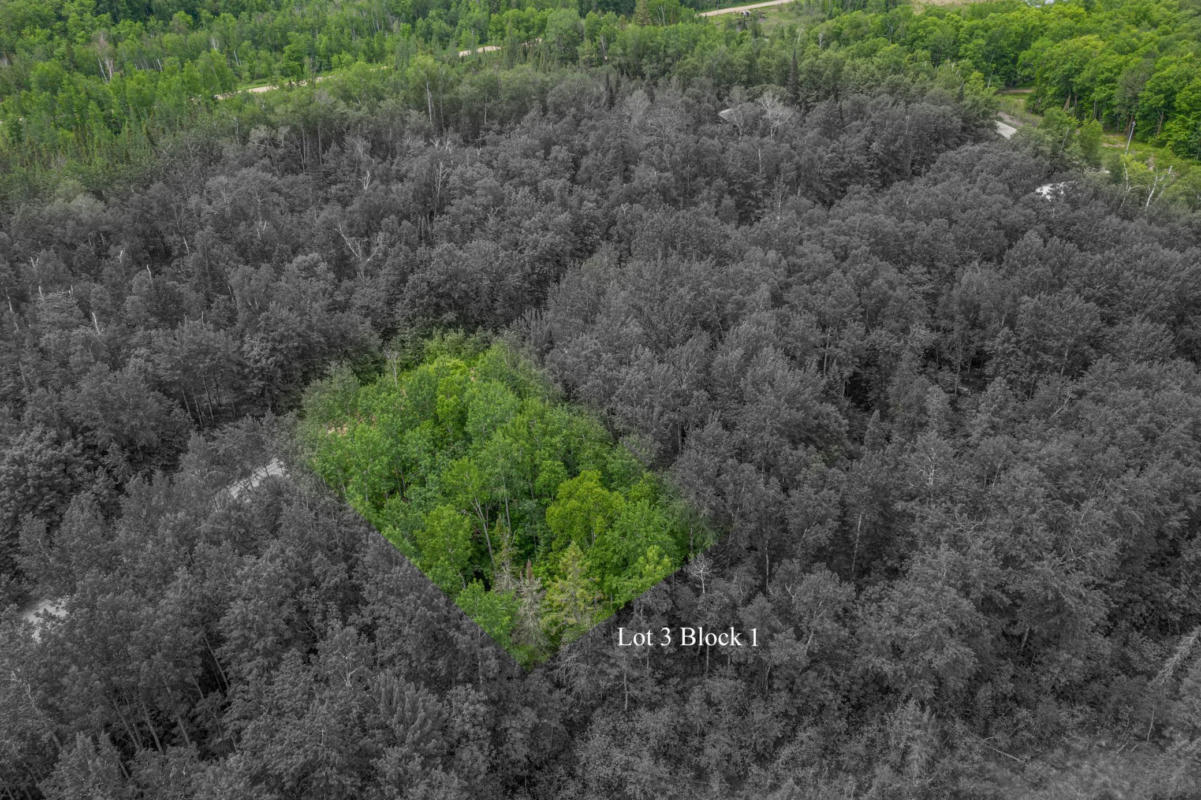TBD 0130 WOODLAND DRIVE, DEER RIVER, MN 56636, photo 1 of 6