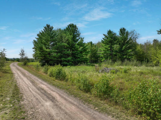 LOT 14 10 1/4 AVE, CHETEK, WI 54728 - Image 1