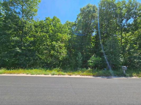 LOT 73 ROOSEVELT AVENUE, DRESSER, WI 54009 - Image 1