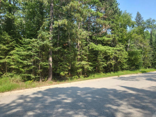 TBD COUNTY ROAD 138, INTERNATIONAL FALLS, MN 56649 - Image 1