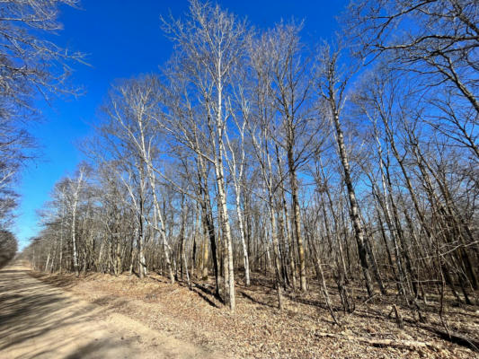 TBD CHERRY LAKE ROAD, OGEMA, MN 56569 - Image 1