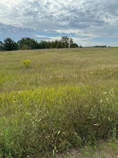 TBD CO HWY 39, FRAZEE, MN 56544, photo 3 of 7