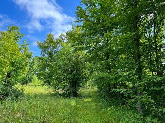 PARCEL C LAKE BREEZE LANE NE, LONGVILLE, MN 56655, photo 3 of 4