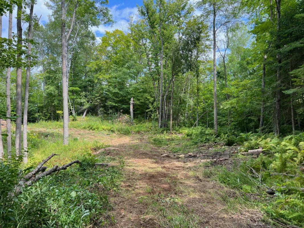 TBD TIOGA HILLS RD, COHASSET, MN 55721, photo 1 of 13