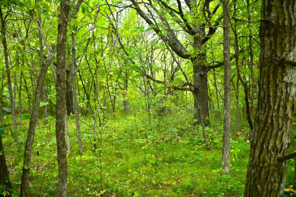 LOT 2 ORCHARD DRIVE, BROWERVILLE, MN 56438, photo 4 of 7