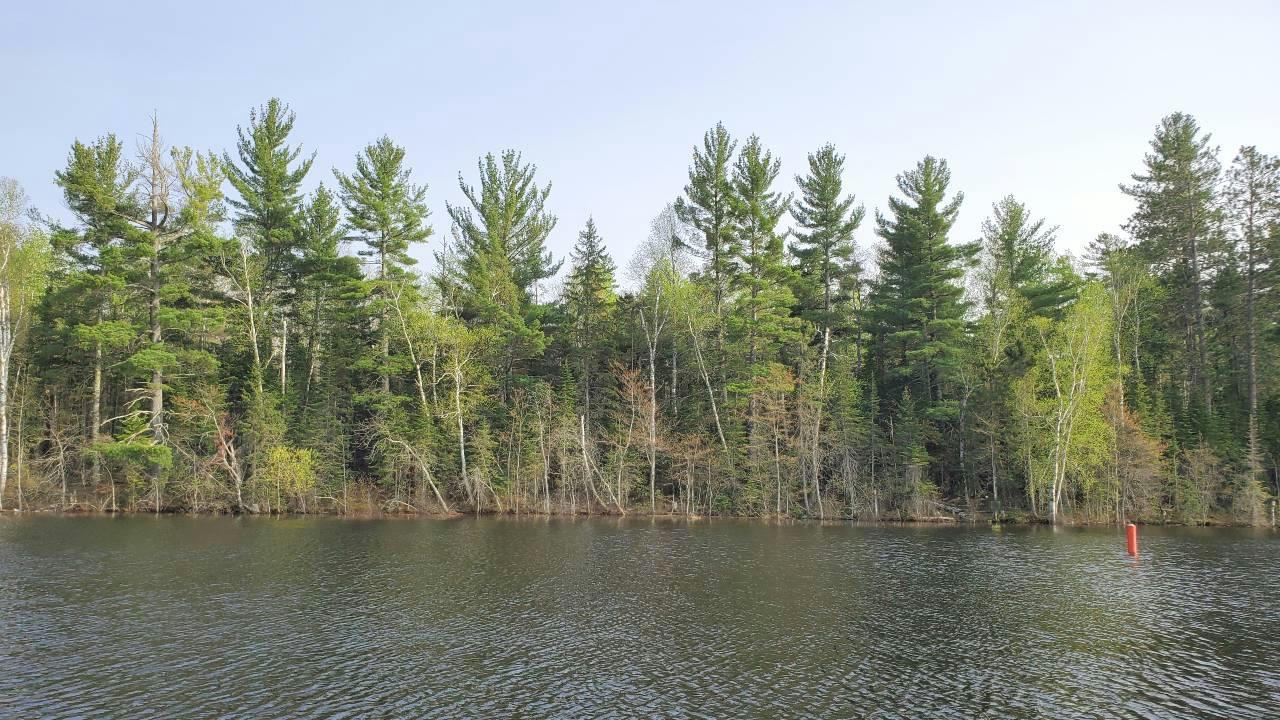 LOT B HINSDALE ISLAND, COOK, MN 55723, photo 1 of 8