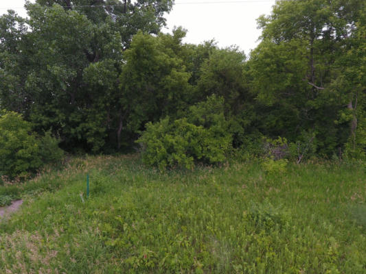 LOT 1 TAGUS AVENUE, HUTCHINSON, MN 55350, photo 5 of 6