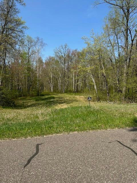 L2 TBD SHADOW POINT ROAD, EMILY, MN 56447, photo 1 of 5