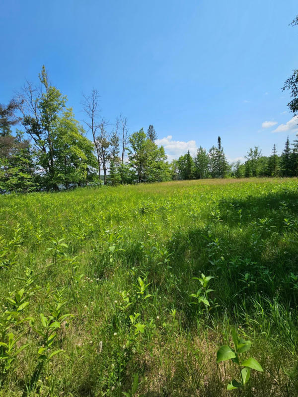 LOT3 HOOPER CREEK LOOP, BAUDETTE, MN 56623, photo 1 of 2