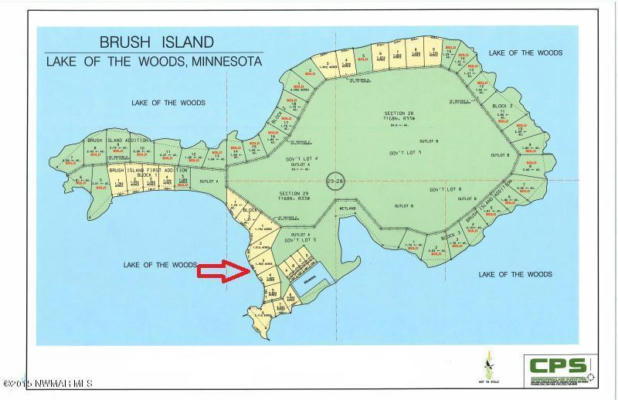 TRACT 3 BRUSH ISLAND, ANGLE INLET, MN 56711 - Image 1