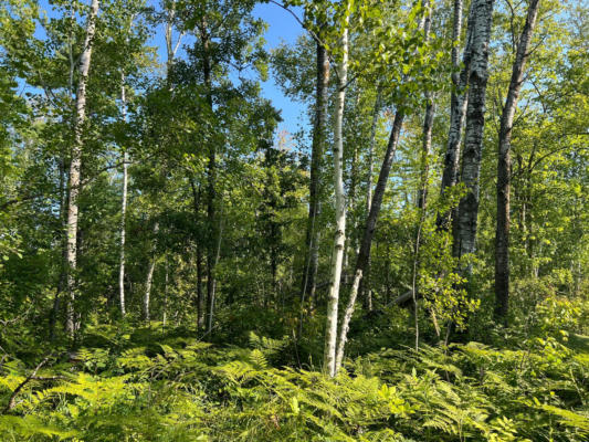 TBD 15 ACRE COUNTY 55 ROAD, REMER, MN 56672, photo 3 of 6