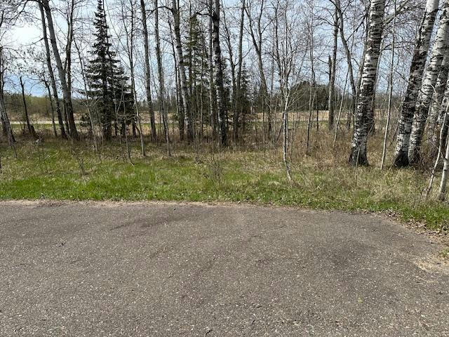 TBD LONG GREEN COURT, MCGREGOR, MN 55760, photo 1 of 26