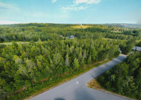 LOT 14 B 2 PINE TREE LANE, COLERAINE, MN 55722 - Image 1