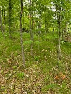 LOT 3 FAWN LAKE ROAD, CROSSLAKE, MN 56442, photo 4 of 8