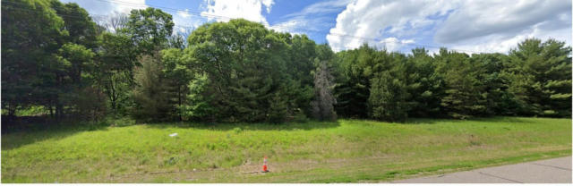 LOT 3 VIKING BOULEVARD NE, WYOMING, MN 55092 - Image 1