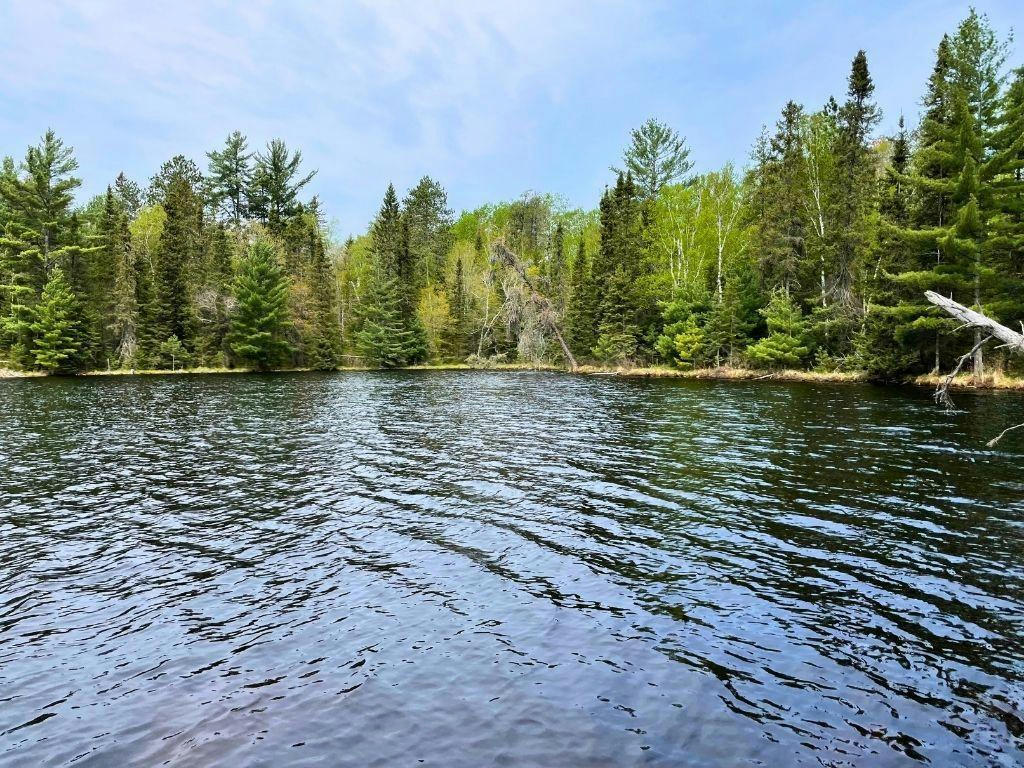 TBD LITTLE ELBOW LAKE, COOK, MN 55723, photo 1 of 19