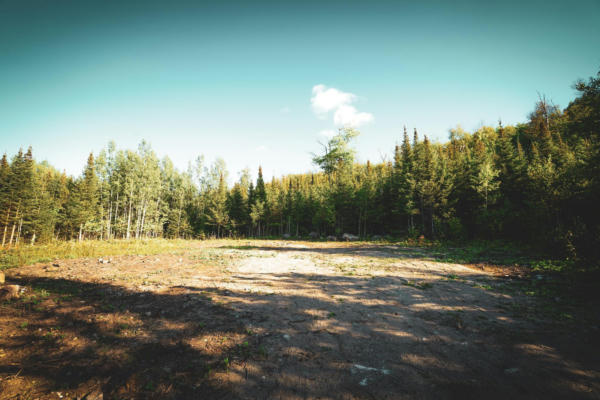 TBD PARCEL C APEX DRIVE, COOK, MN 55723 - Image 1