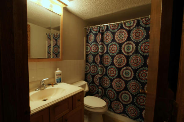 741 11TH AVE S APT 3, HOPKINS, MN 55343, photo 5 of 14