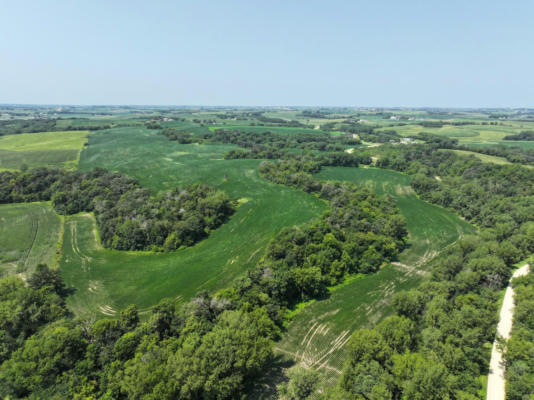 XXXX COUNTY ROAD 3, ZUMBRO FALLS, MN 55991 - Image 1