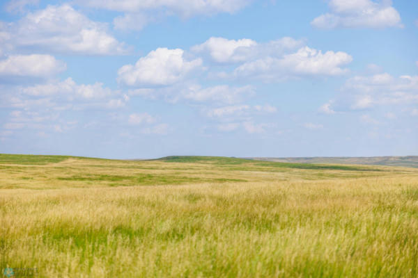 TBD 57 SW, LEITH, ND 58529 - Image 1