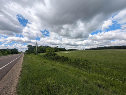 136X COUNTY ROAD D, EMERALD, WI 54013 - Image 1