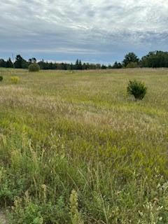 TBD CO HWY 39, FRAZEE, MN 56544, photo 2 of 7