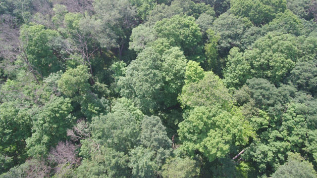 000 ST CROIX TRAIL, TAYLORS FALLS, MN 55084, photo 4 of 10