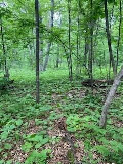 LOT 3 FAWN LAKE ROAD, CROSSLAKE, MN 56442, photo 1 of 8