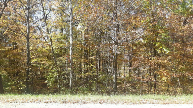 LOT 16 PINE ISLAND PT DR, BROWERVILLE, MN 56438, photo 4 of 14
