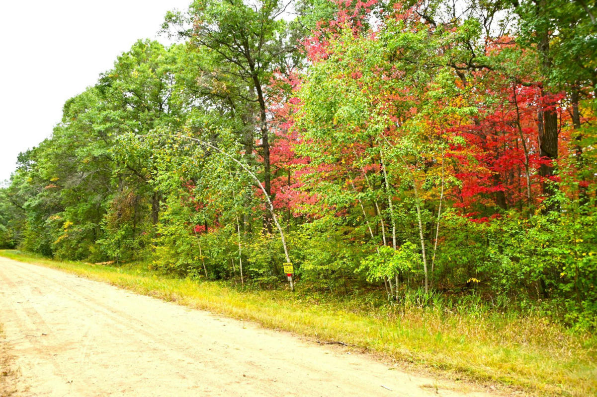LOT 21 BLOCK 2 OLAF TRAIL, BROWERVILLE, MN 56438, photo 1 of 26