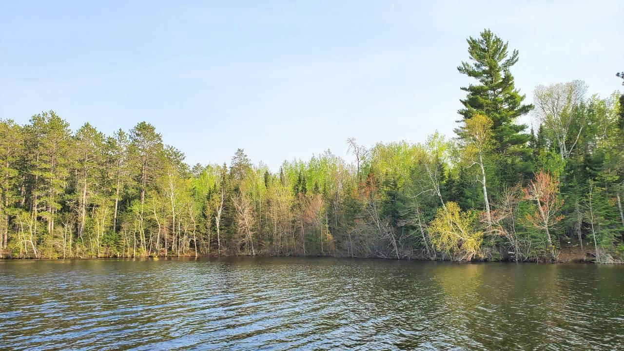 LOT D HINSDALE ISLAND, COOK, MN 55723, photo 1 of 10