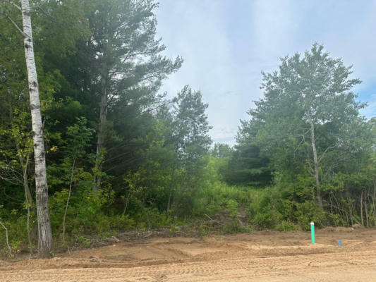 LOT 12 BLK 1 BRUMMER DRIVE, RANDALL, MN 56475 - Image 1