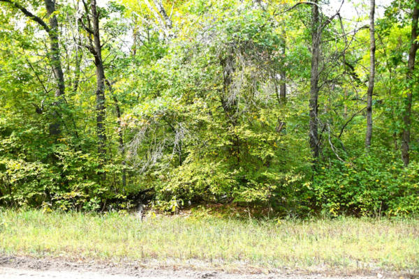 LOT 16 BLOCK 2 OLAF TRAIL, BROWERVILLE, MN 56438, photo 5 of 28