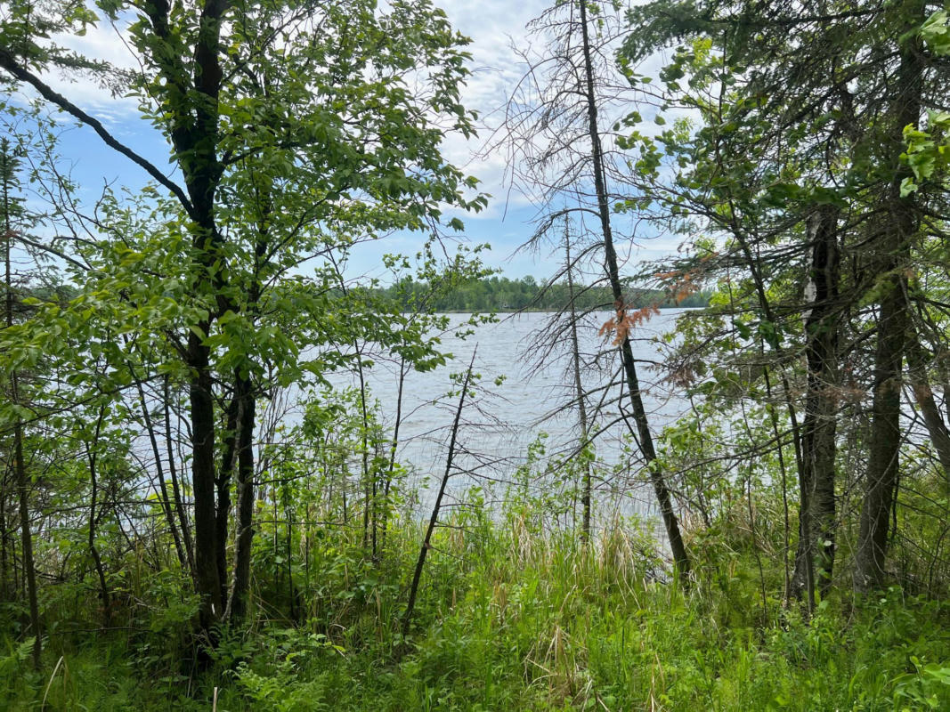 LOT A N MOOSE LAKE ROAD NE, PENNINGTON, MN 56663, photo 1 of 21