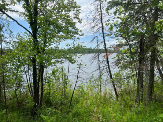 LOT A N MOOSE LAKE ROAD NE, PENNINGTON, MN 56663 - Image 1