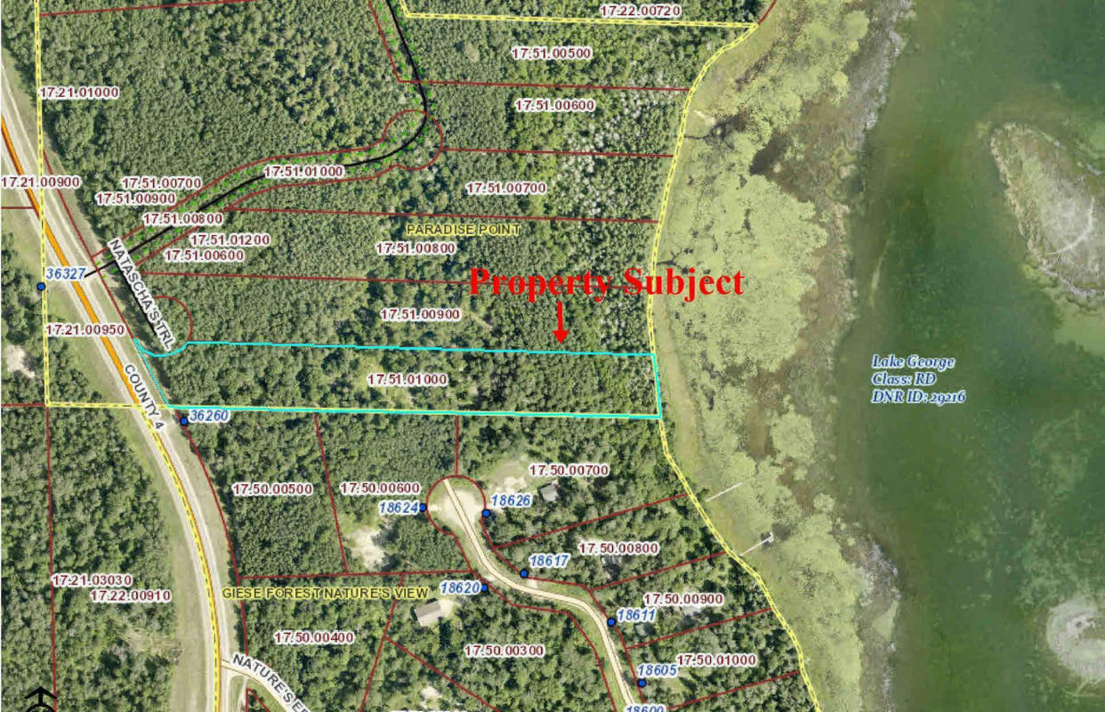 TBD LOT 10 COUNTY 4, LAKE GEORGE, MN 56458, photo 1 of 12