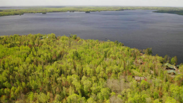 PARCEL B S NILES BAY FOREST ROAD, ORR, MN 55771, photo 5 of 10