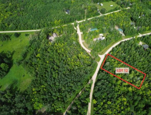 LOT 12 NATURES TRAIL, FEDERAL DAM, MN 56641 - Image 1