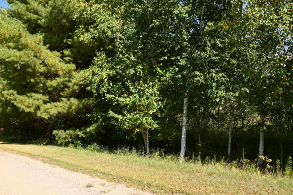 LOT 51 BLOCK 12 POPLAR LANE, BROWERVILLE, MN 56438, photo 2 of 17