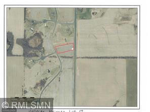 1141 178TH ST./DALTON FARM ROAD, LOT 19, HAMMOND, WI 54015 - Image 1