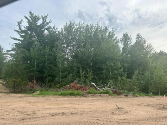 LOT 11 BLK 1 BRUMMER DRIVE, RANDALL, MN 56475 - Image 1